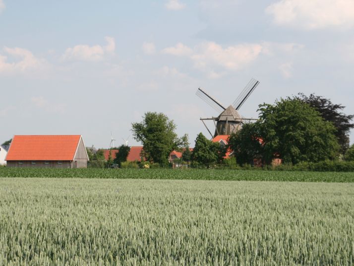 Windmühle Lette